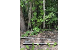 SB Ogle Lane, Pigeon Forge, TN 37876