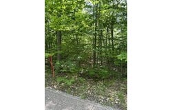 Parcel A Old Oak Road, Cheboygan, MI 49721