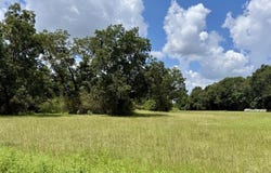 County Road 33, Ashford, AL 36312