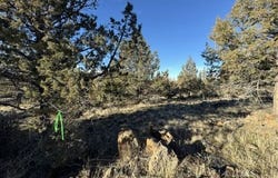 Canvasback Drive, Bonanza, OR 97623