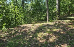 Sunset Ridge, WAVERLY, TN 37185