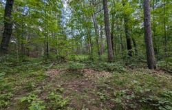 Fosmo Drive lot: 3, Webster, WI 54893