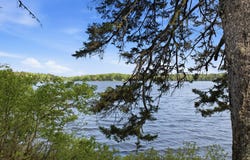 Sunrise Way lot: #10, Whiting, ME 04691