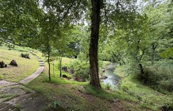 507 Short St, Athens, TN 37303