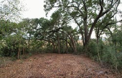 481 Paige Point, Seabrook, SC 29940