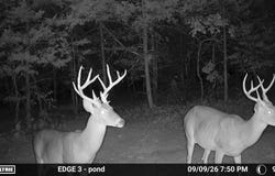 County Road Jj-416, Ava, MO 65608