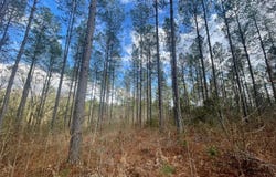 Cole Rd, Hattiesburg, MS 39402