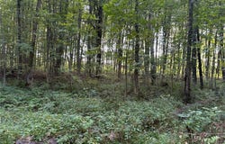 Center Road, Conneaut, OH 44030