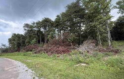 55 MOUNTAIN BROW DRIVE lot: 1, ONEONTA, AL 35121