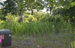 Cliffside Drive lot: 10, Galena, MO 65656