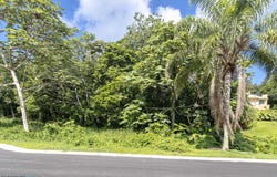 Hato Nuevo, Guaynabo, PR 00971