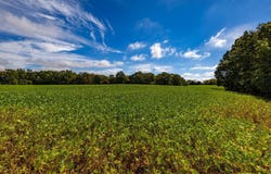 Dave Miller Road, Mayfield, KY 42066