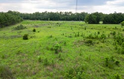 Highway 77, Chipley, FL 32428