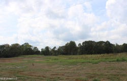 5077 Old Barn Cove lot: 16, Hernando, MS 38632
