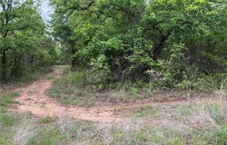 1576 Adell Circle, Peaster, TX 76088
