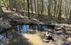 2174 Bear Gulch Rd, Red Feather Lakes, CO 80545