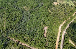 E Chapel Road, Laurel Hill, FL 32567