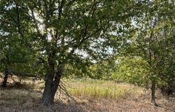 Cr 451, Lott, TX 76656