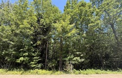 Cook Road, St. Regis Falls, NY 12980