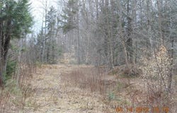 Arnold Lane, Wolcott, VT 05680
