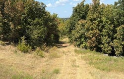 Highway 72, Cameron, OK 74932