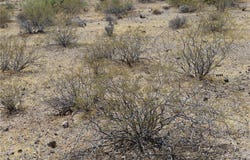 339-17-027 Greer, Golden Valley, AZ 86413