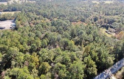 291 Sawdust Trail, Waycross, GA 31503