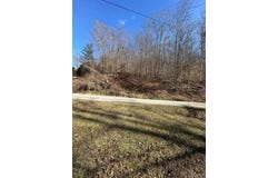 Left Fork Maces Creek Rd, Viper, KY 41774