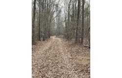 745 Wright Allen Road, Blythe, GA 30805