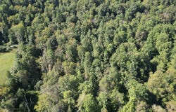Russett Road, Grantsville, WV 26147