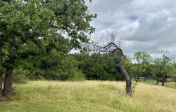 Hillcrest Drive, Brownwood, TX 76801