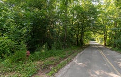 Stanfield Road NW, Georgetown, TN 37336