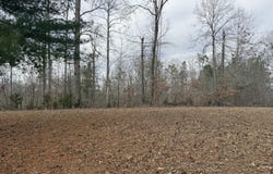 45 Scafidi Lane, Jamestown, KY 42629