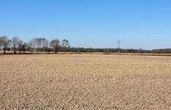 E Rosemary Road, Cleveland, MS 38732