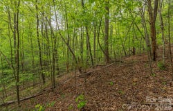 Pressley Creek Road, Cullowhee, NC 28723