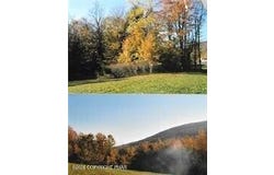 Pantherlick Road, Sugar Run, PA 18846