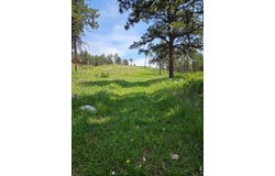 620 Davis Ranch Rd, Bellvue, CO 80512