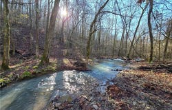 TBD Big Bear Canyon TR lot: 0, Chester, AR 72934