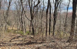 Square Woods Rd, La Grange, NY 12540