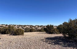 Lot 174 Pinon Springs, Magdalena, NM 87825