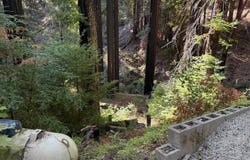 449 Band RD, BOULDER CREEK, CA 95006