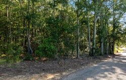 Fulgham Road, Tylertown, MS 39667