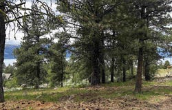 1483 Pine Lakes Ranch Rd, Cascade, ID 83611