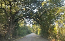 280 Brazos Bend, Snook, TX 77878