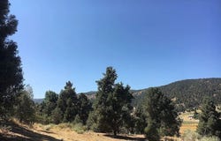 1329 Jay Court, Frazier Park, CA 93225