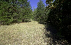 Tract 2 Simpson Rd, Urbana, MO 65767