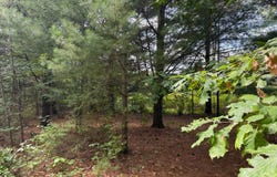 Mcconnell Rd, Glenfield, NY 13343