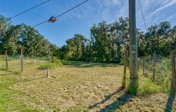 3533 JORDAN Road, DOVER, FL 33527