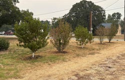 701 W Manchaca Avenue, De Leon, TX 76444