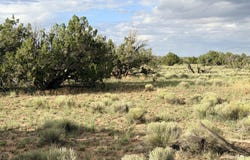 74 N 6311, St. Johns, AZ 85936